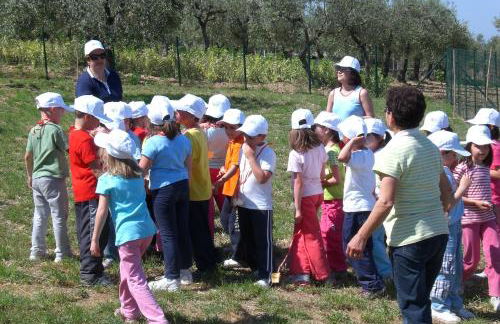 Angelucci Agriturismo con Camere e Agri Camping - Foto 92