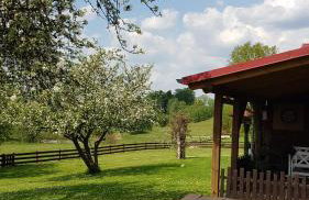 "Dolina szczęścia" Kartkowo - Foto 17