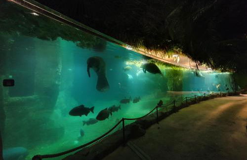 Gite de la Guernouille - Foto 30