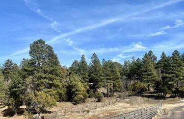 Penthouse Suite at Meadow View! - Foto 28