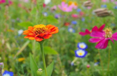 Biohof Liebhart - Photo 11