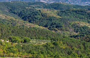 Villa Franz Krbune - Foto 53