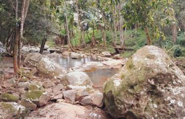 Casa da Cachoeira Siriú-SC - Foto 20