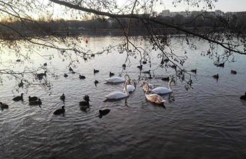 Ruhiges Apt. direkt am Naherholungsgebiet mit Seeblick, Zentrum 5min, Messe 18min - Foto 15