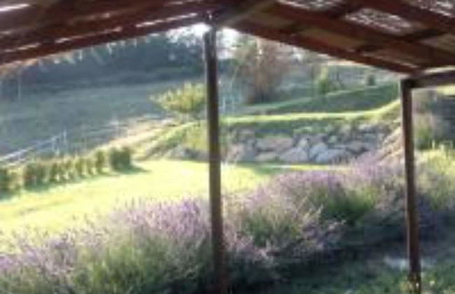 6 Bedrooms Villa in Allerona - Italy - Photo 11