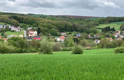 Luxe, landelijke vakantiewoning der alte Birnenbaum Duitsland-Sankt Wendel - Foto 57