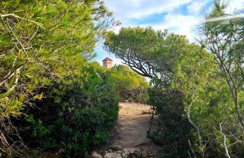 Oliver House - Foto 30