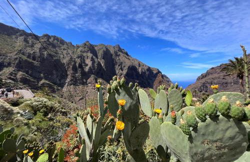 Apartamento Los Picachos, Poris de Abona - Foto 66