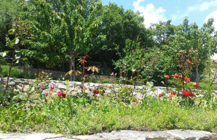 Villa Cetina - Apartment with a view - Foto 68