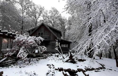 Impressive Log Cabin with Fireplace, Fire Pit and Hot-tub in Unionville, Indiana - Foto 53