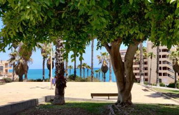 Apartamento Casa de Alba Cabo Cervera La Mata Torrevieja - Foto 47