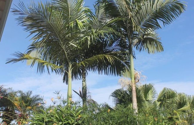 Casa Hacienda Jaguar - Foto 29