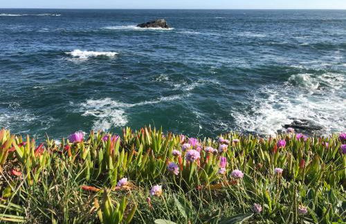 Rocket Cart House - Foto 22