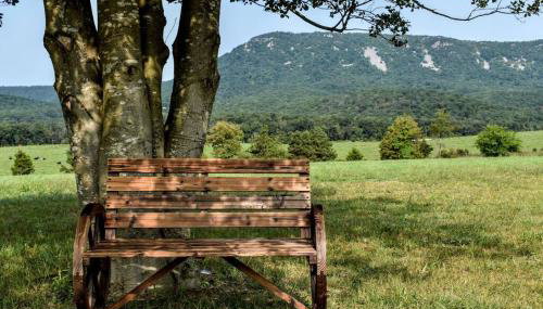 Holly Tree Retreat Located In Beautiful Luray, VA. - Foto 5