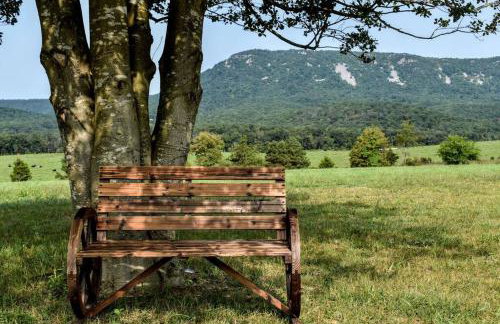 Holly Tree Retreat Located In Beautiful Luray, VA. - Foto 5