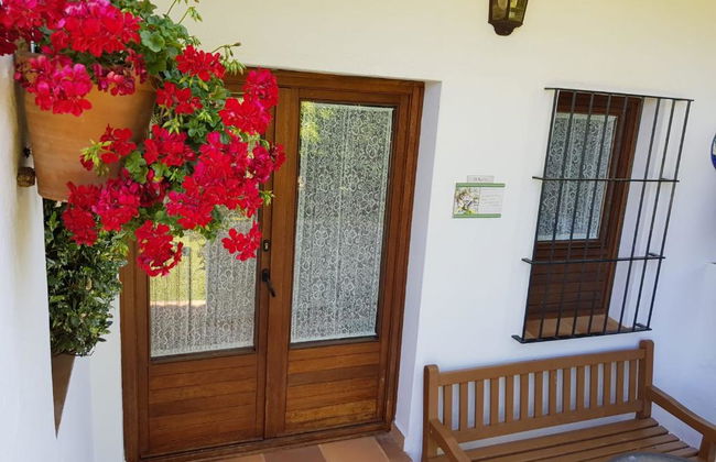 Finca la Media Legua - Foto 17