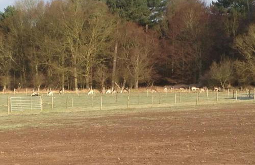 Nightingale Lodge - Adults Only - Foto 19