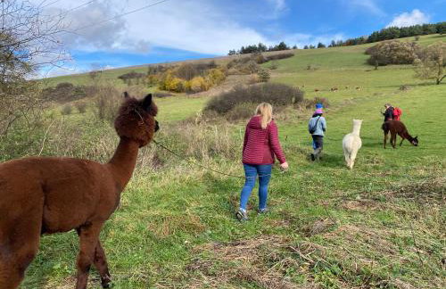 Nad Mikowym Potokiem - wydzielona część drewnianego domu z osobnym wejściem i ogrodem - Foto 16