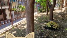 Alis home 100 mt dal mare - Foto 4, Garden, pet friendly