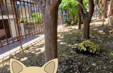 Alis home 100 mt dal mare - Foto 4