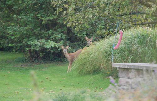 Holiday Home Sehnsucht Schlei - Foto 30