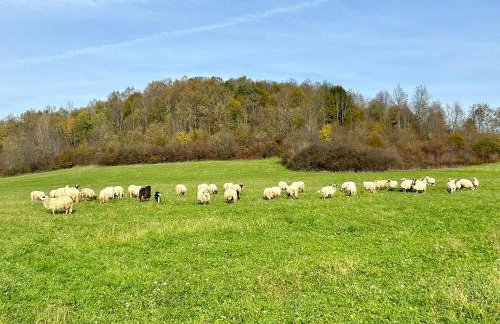 Seosko Imanje Na Obali Rijeke - Foto 53