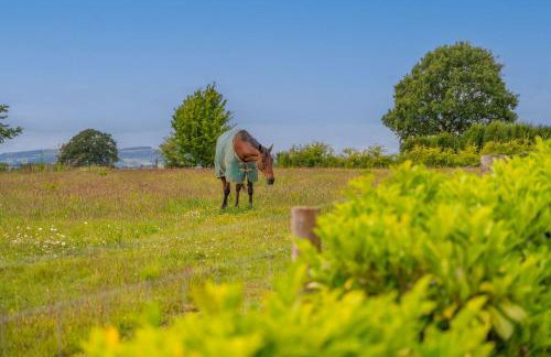 Marrington Farmhouse - Foto 29