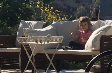 Ciuci's Manor - Foto 37