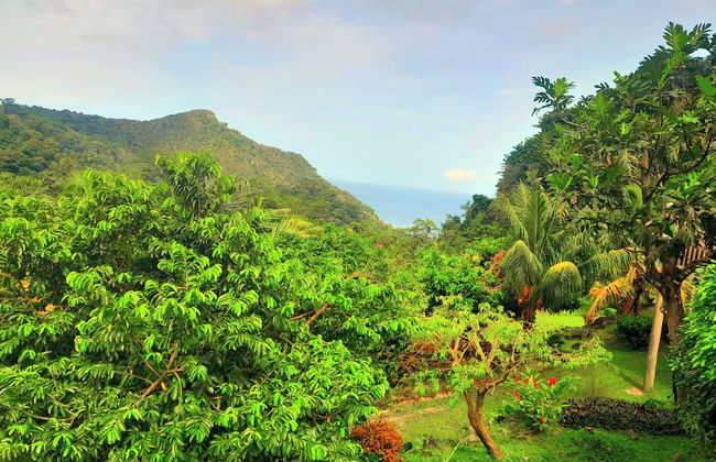 Pinard's Mountain Resort- Cottage 8 - Foto 48