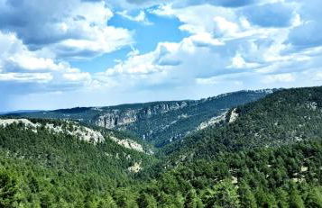 Alojamiento Rural Los Hacheros - Foto 50