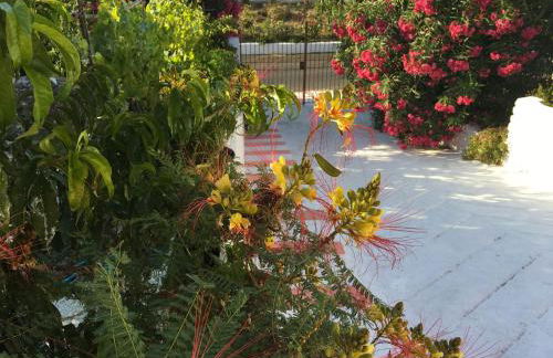 La casa Rosa - Foto 10