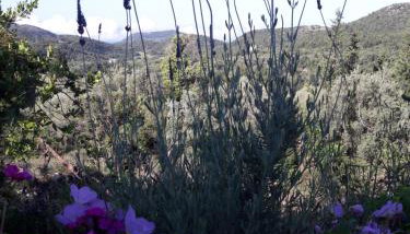 Alexia's house - Foto 3