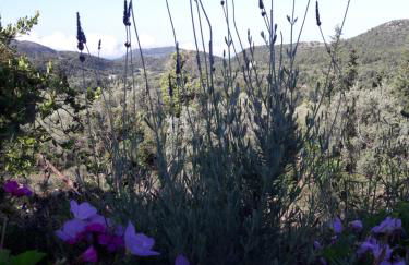 Alexia's house - Foto 3