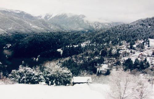 Petrini Villa - Foto 48