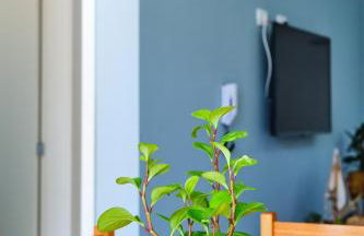 300m da Praia, Varanda G, p/8 hospedes Wi-Fi 300MG - Foto 46