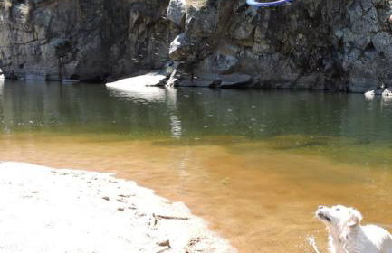 Camino de Hierro - Foto 25