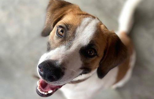 CasAmar Pé na Areia em Condomínio Beira Mar - Photo 28