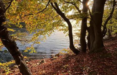 Ferienwohnung Familie Windt - Foto 32
