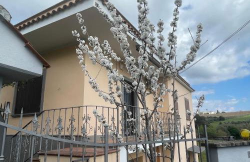 Dimora delle Foglie - Villino ai Castelli Romani - Foto 44