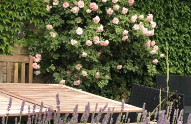 Ferienwohnung in Werder Havel Innenstadt - Photo 20