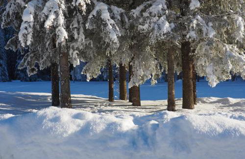 Appartamenti Residence Rodolon Fontanazzo - Foto 10