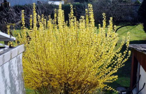 Ferienwohnung Gersprenztal - Photo 4