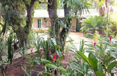 Ananda Multiverse Evolve 15' from the Botanical Garden - Foto 20