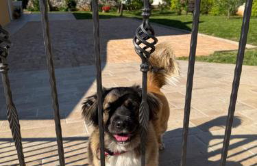 Apartment Lea, Cepljani - Foto 29