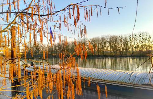 Péniche sur la Seine avec terrasse 6 pers - Ja-De - Foto 8