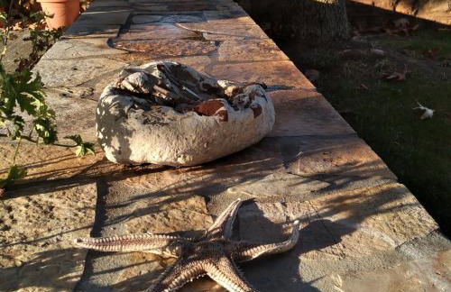 Mangata Seaside Hotel - Photo 34