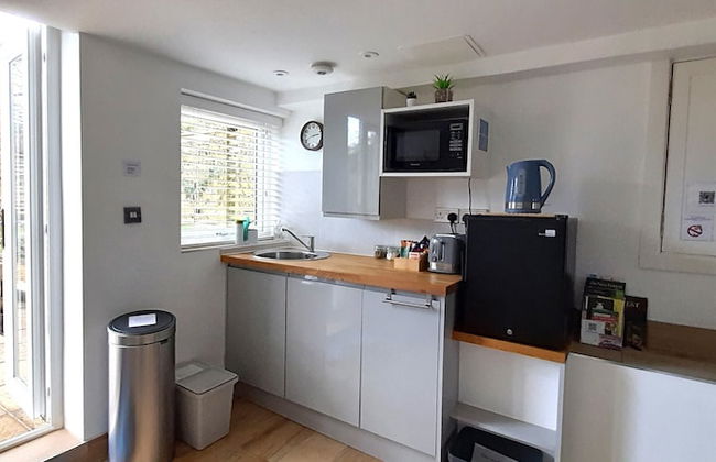 Forest Palms - Foto 5