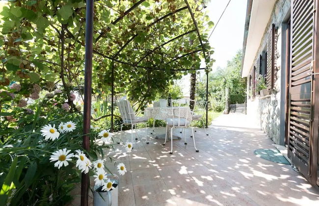 Green Garden Oasis - Photo 23