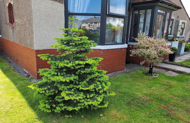 2 bed Apartment 5min From sea in Bare Morecombe - Foto 43