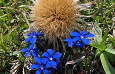 Apartment "Klein aber fein" - Foto 33